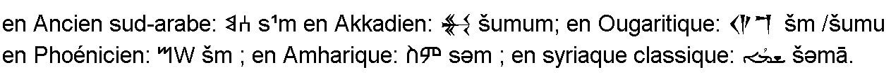 Ism nom voir autres langues ougaritique akkadien phenicien