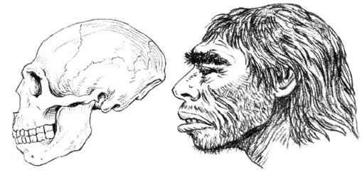 Neandertalien