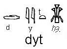 Papyrus dyt
