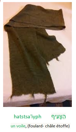 Voile echarge etoffe chale