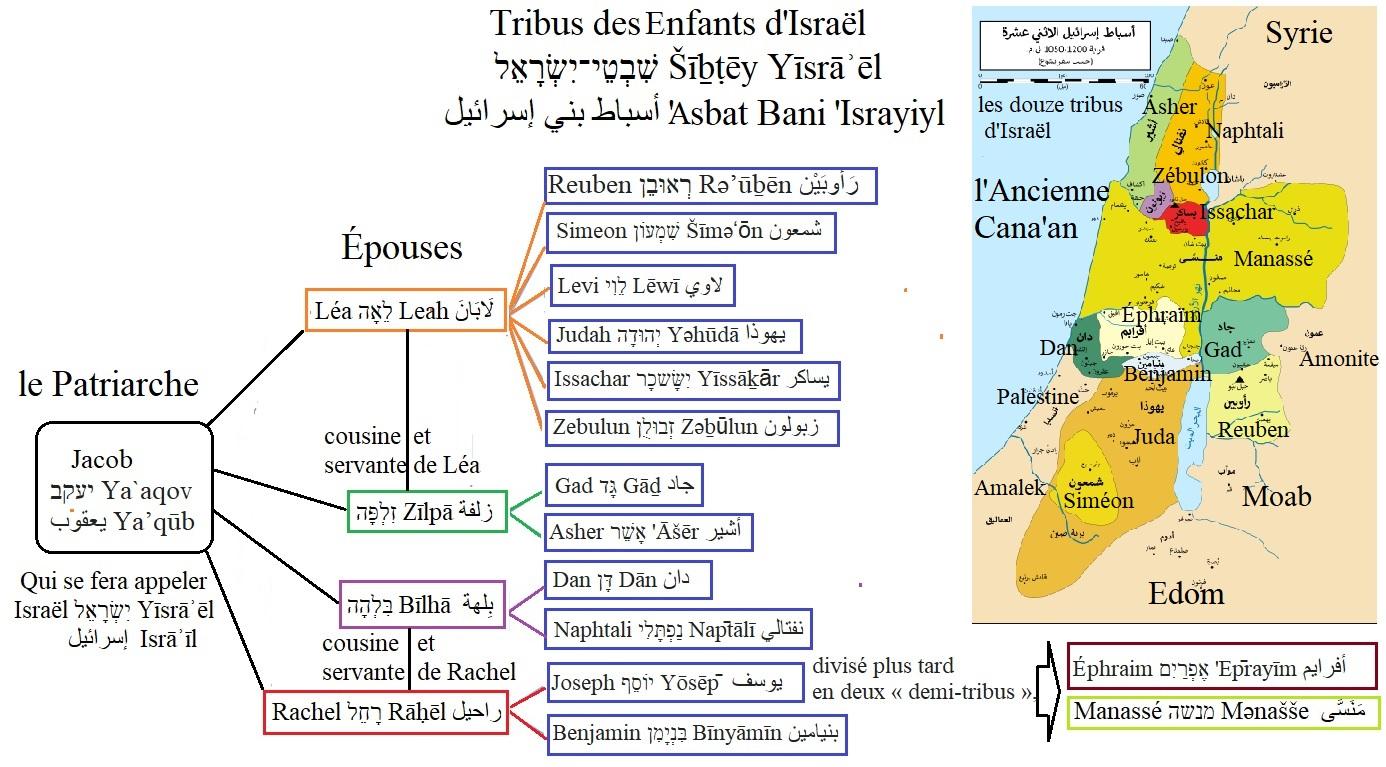 12 tribus d israil