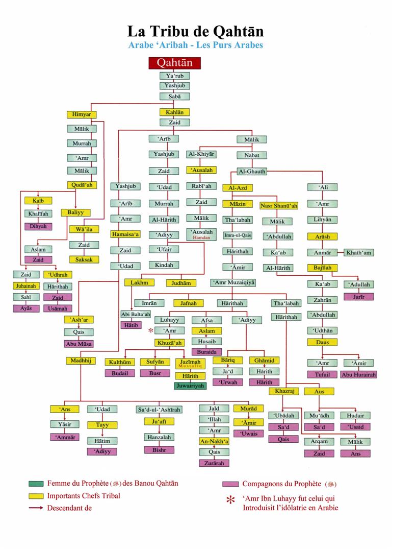 Genealogie de qahtan