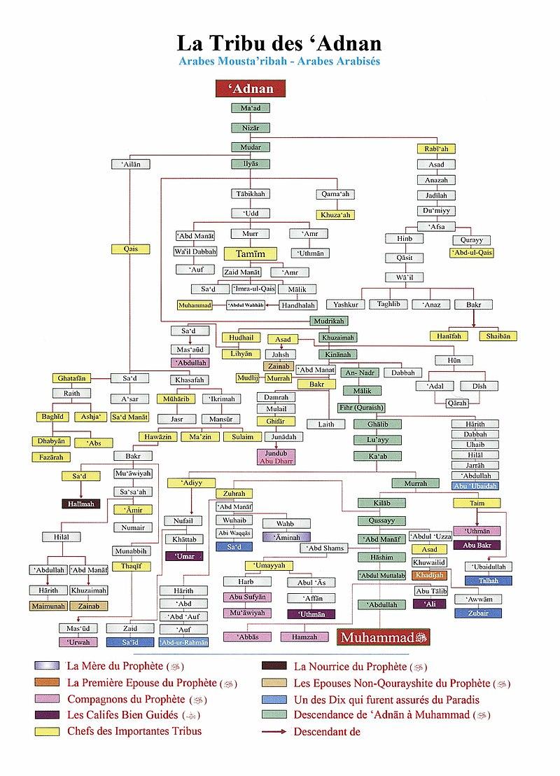 Genealogique des arabes du sud