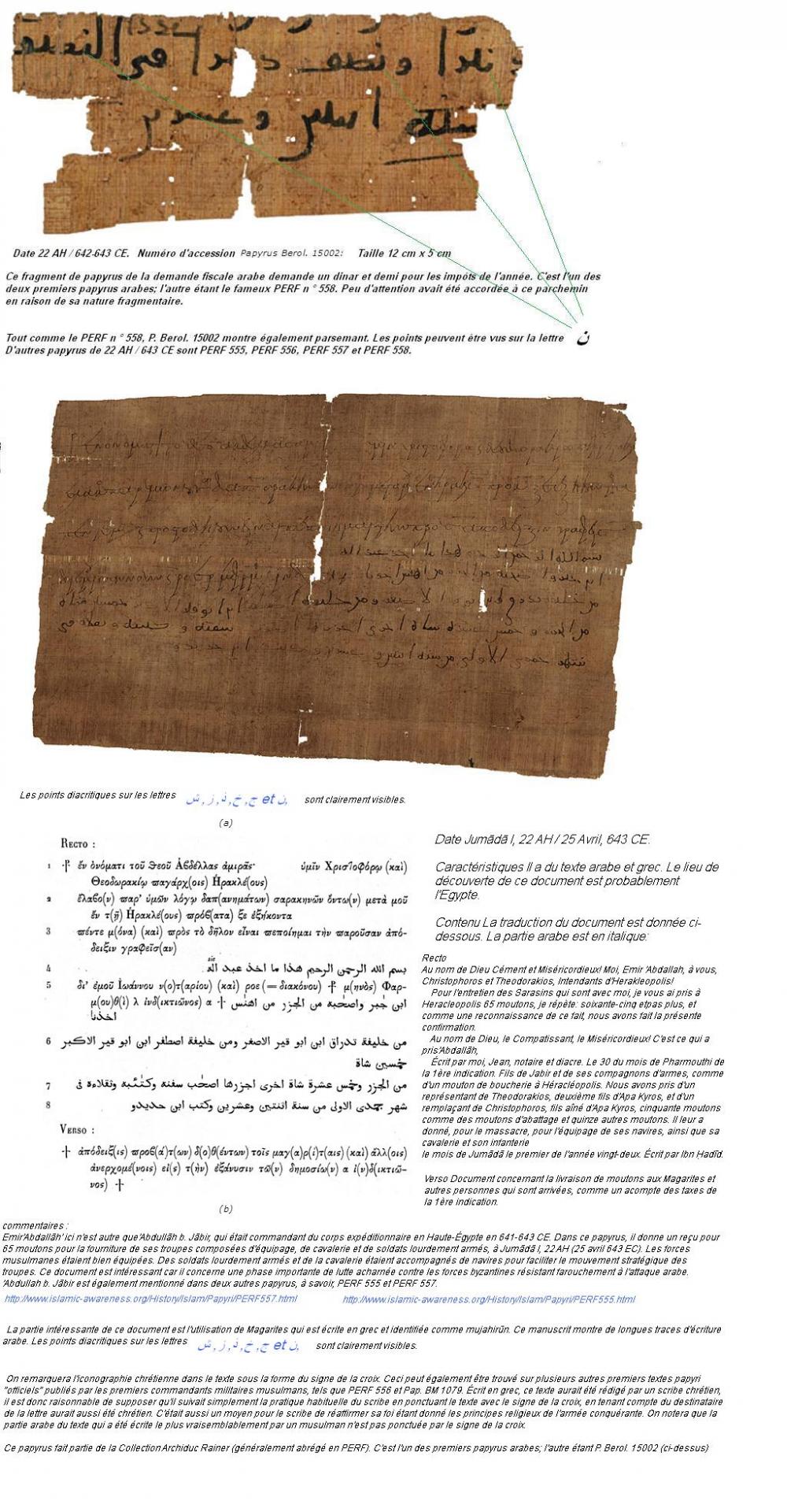 Papyrus arabe1